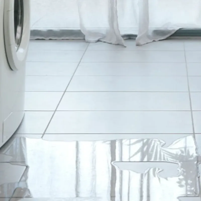 Appliance Leak Cleanup in Tuckerman, AR