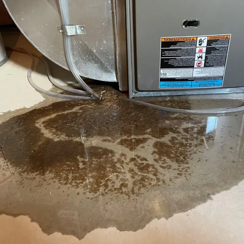 Pipe Burst and Leak Restoration in Tuckerman, AR